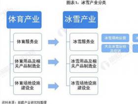 預見2021：《2021年中國冰雪產業全景圖譜》