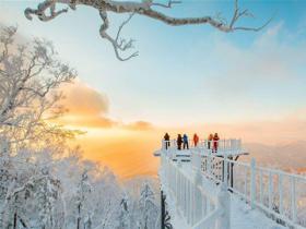 黑龍江研究全省全域旅游和冰雪旅游發展規劃