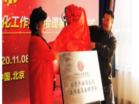 中華文化促進會冰雪產業與文化工作委員會助力冰雪發展