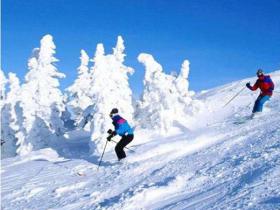 天津市體育局領(lǐng)導調(diào)研冰雪項目組隊和冰雪場地建設(shè)情況