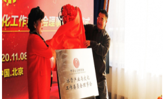 中華文化促進會冰雪產業(yè)與文化工作委員會助力冰雪發(fā)展
