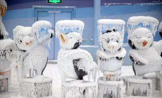 春城也有藍海冰原 我國西部最大城市單體室內滑雪場建成