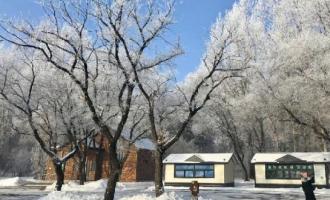 冰與火的變奏——吉林長春冰雪旅游產業發展觀察