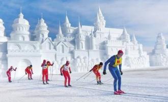 武衛東調度省冰雪運動會和冰雪產業博覽會工作