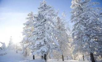 做好冰雪文章 壯大白色經濟