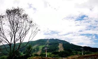 通化：政府企業同發力 釋放冰雪產業發展新效能