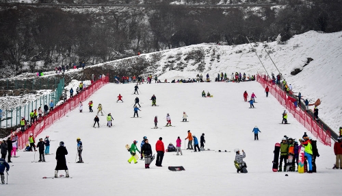 游客在位于四川省阿壩藏族羌族自治州的太子嶺滑雪場體驗冰雪運動