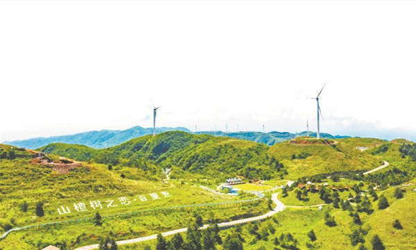 冬可滑雪，春可登山的百里荒景區