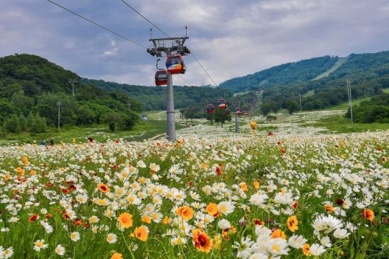 冰雪吉林展開夏季行動：景區推新項目重聚人氣3