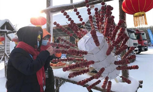 第十九屆中國(guó)長(zhǎng)春凈月潭瓦薩國(guó)際滑雪節(jié)，凈月潭盛大啟幕！ 4