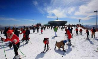 室外滑雪場中有哪些安全隱患？需要怎么預(yù)防?