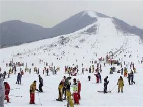 崇禮滑雪場開了嗎？什么時候開放？