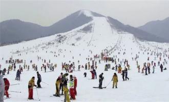 崇禮滑雪場開了嗎？什么時候開放？