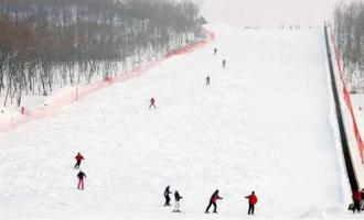 崇禮多樂美地滑雪場有多少條滑雪道？