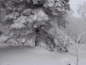 吉林省對“冰雪絲路”戰略新構想